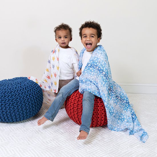 Couverture   Superman        de               aden + anais essentials