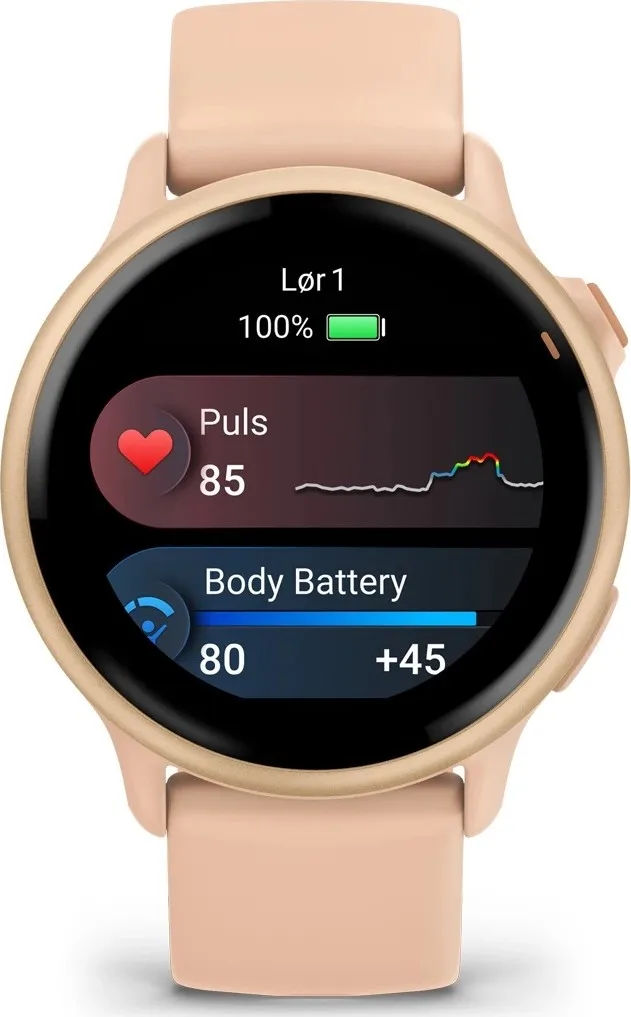 Garmin Vivoactive 6 Pink Dawn/P. Dawn Metallic
