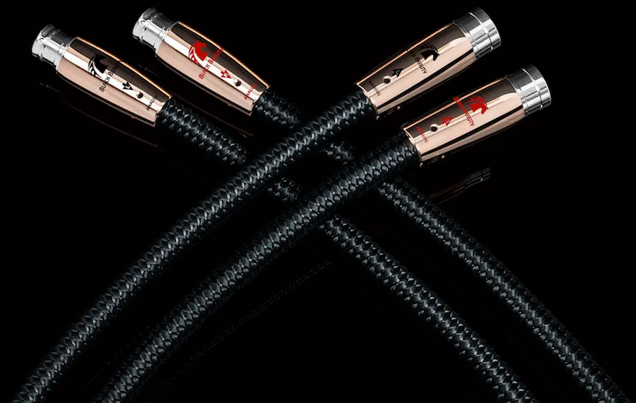 Audioquest Black Beauty XLR (2 x 0,6 m) Câbles symétriques XLR