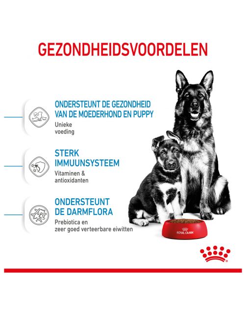 Royal Canin Maxi Starter Mother & Babydog - Puppy-Hondenvoer - 4 kg