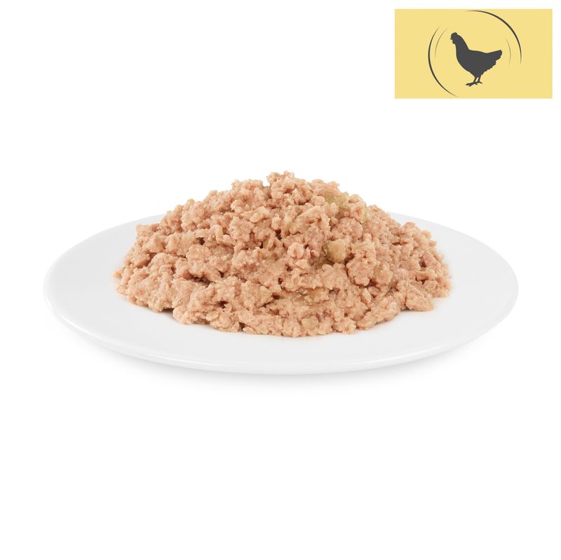 Lot Briantos Delicious Paté 48 x 100 g pour chien ✓ pas cher