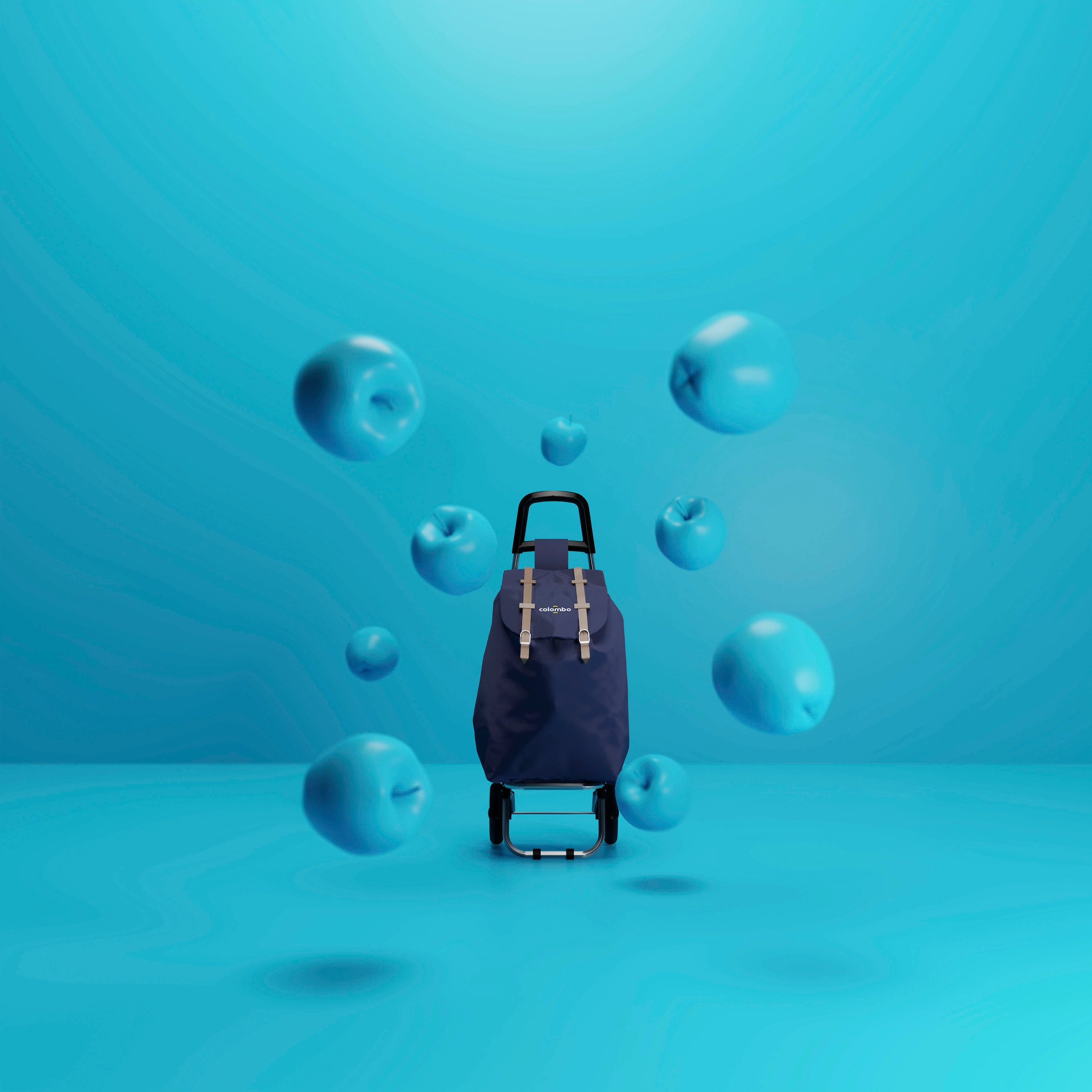 Bischof Einkaufstrolley »Schön und Gut« wasserdichte Tasche aus Polyester