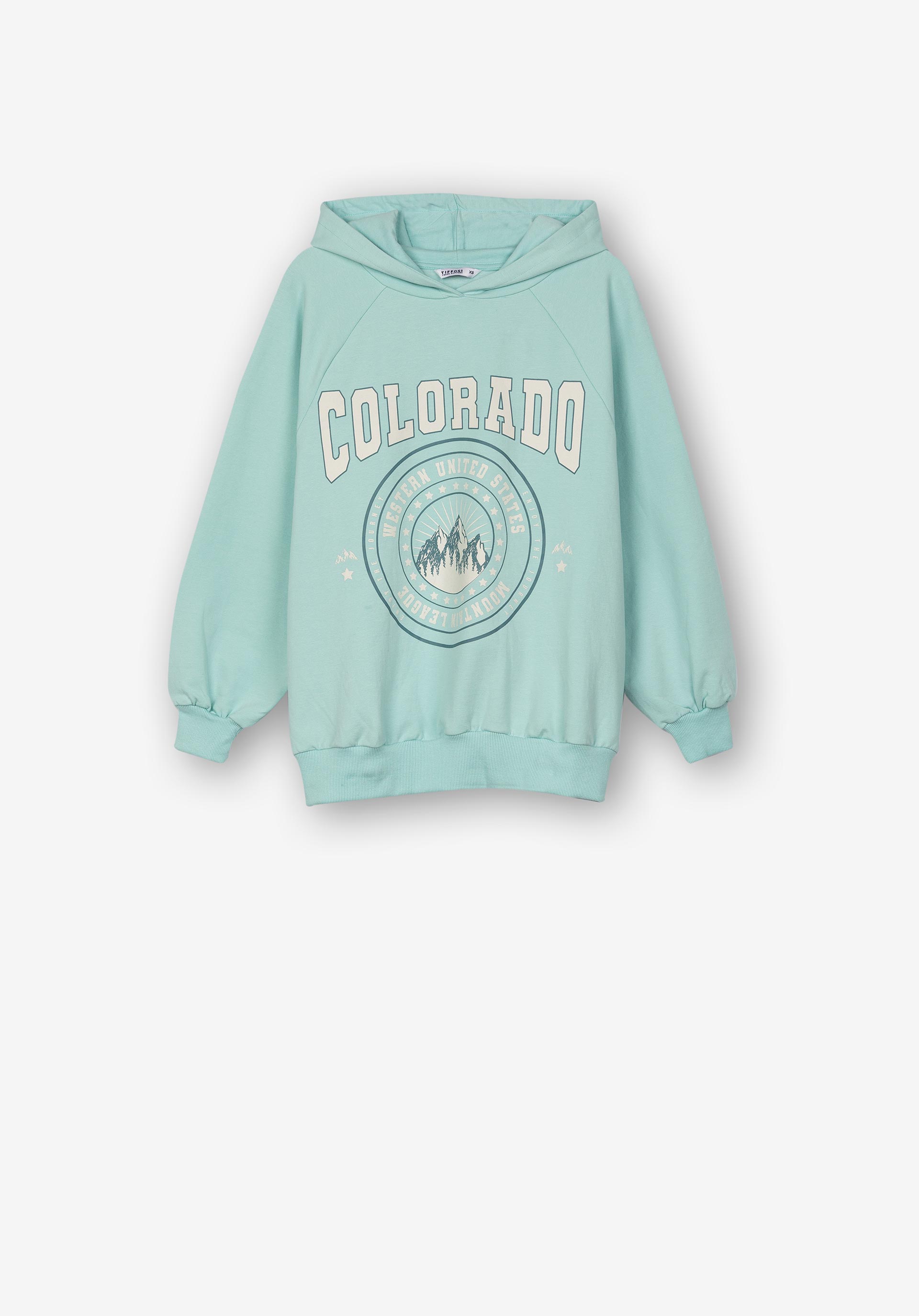 Hoodie com Estampado Frontal