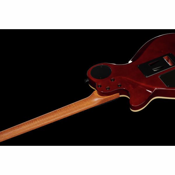 Godin xtSA Koa LTD