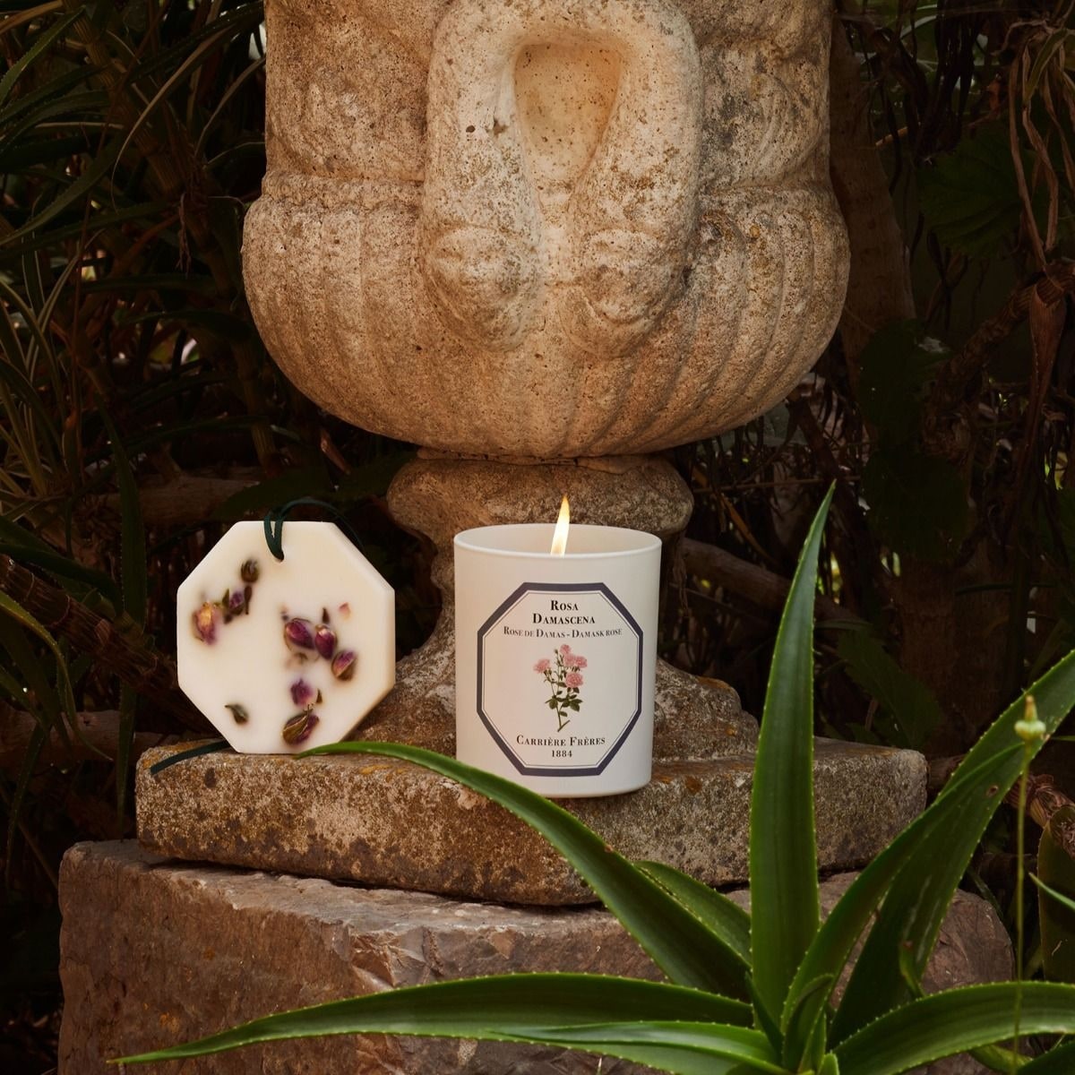 CARRIÈRE FRÈRES Rose de Damas - Rosa Damascena Bougie Parfumée