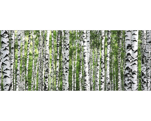 Glasschilderij Boomstam Collectie 30x80 cm GLA1850