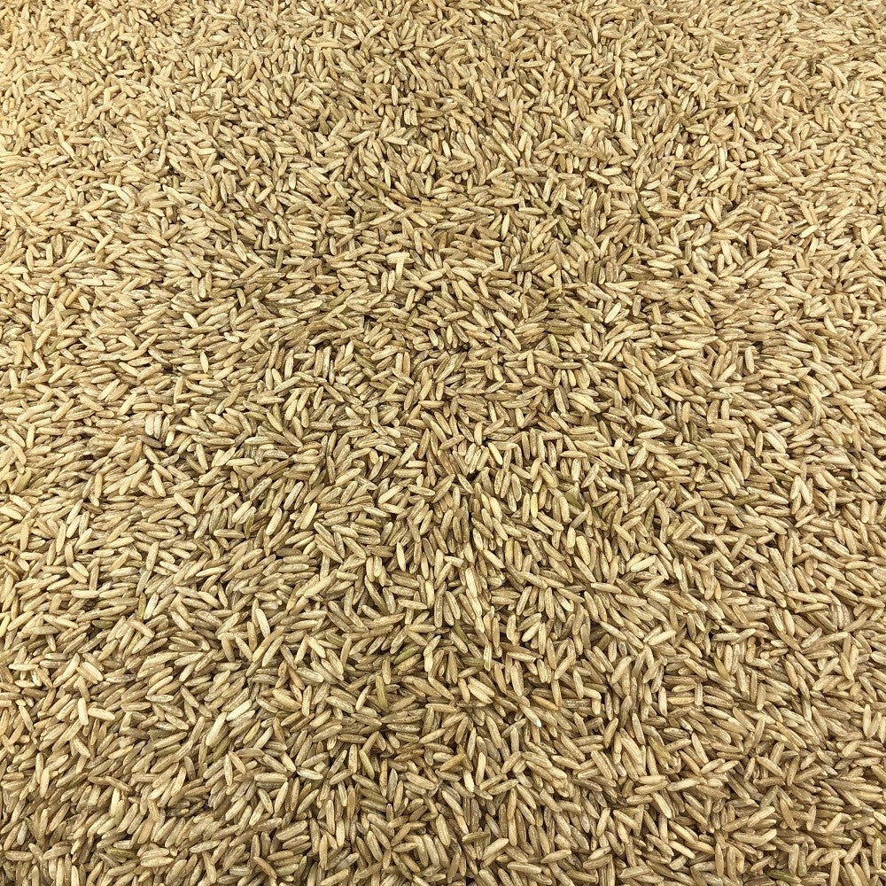 Riz Basmati Complet Bio en Vrac 1kg Vrac Bio