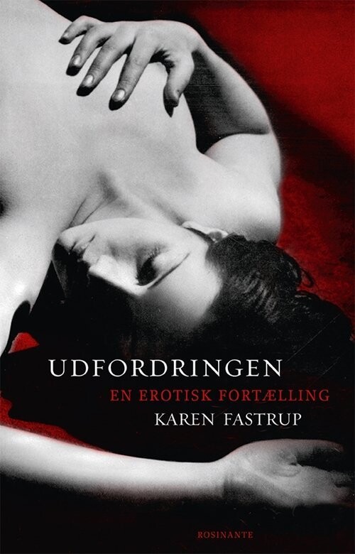 Udfordringen - Karen Fastrup - Bog