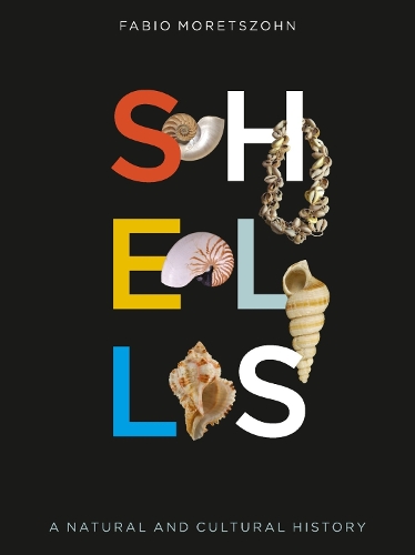 Shells: A Natural and Cultural History (Hardback)