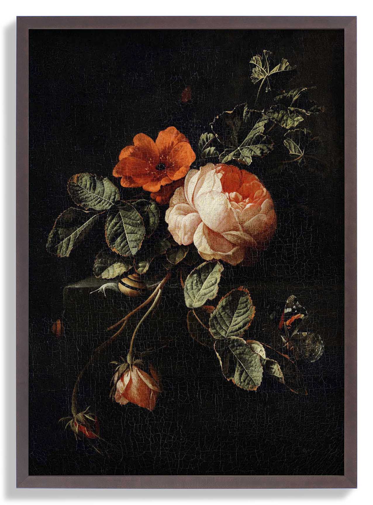 Rosen von van den Broeck