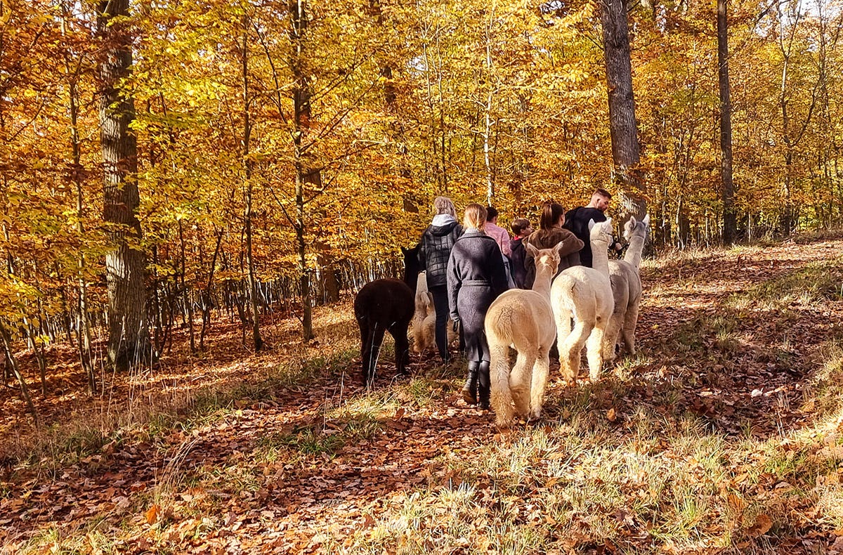 Kurzurlaub für bis zu 5 Personen Dipbach