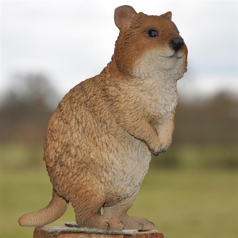 Dazikemo Dekofigur Gartenfigur Erdmännchen