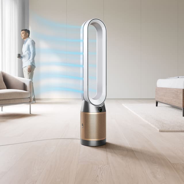 Dyson Cool PC2 De-NOx luftrenser 546519-01 (hvid/guld)