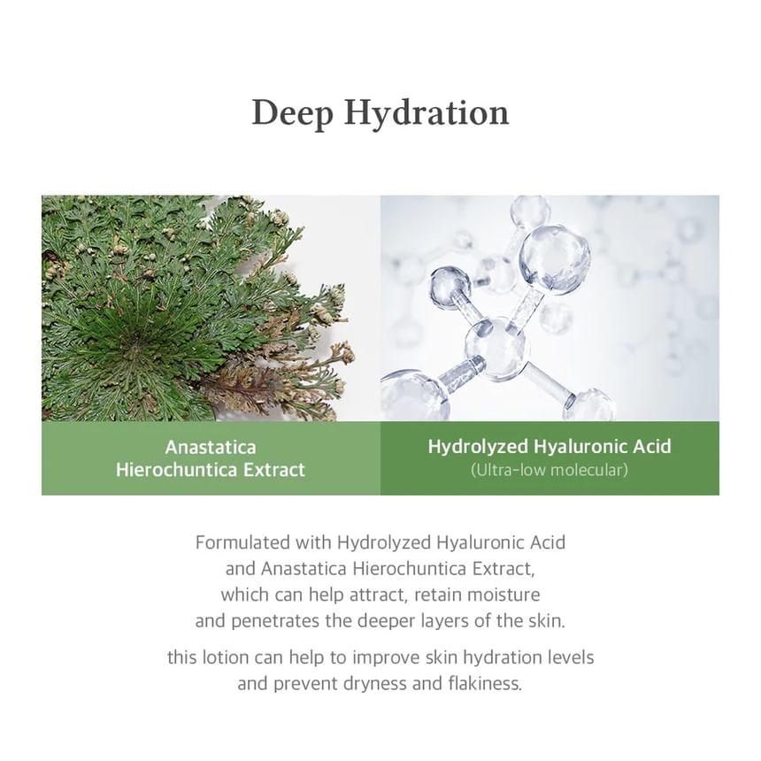 Dr. Althea - Frisse Diepe Noni Lotion