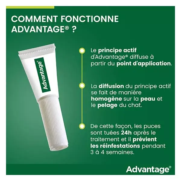 Advantage Solution - Tratamento antipulgas para gatos e coelhos (1-4kg) - 4 pipetas