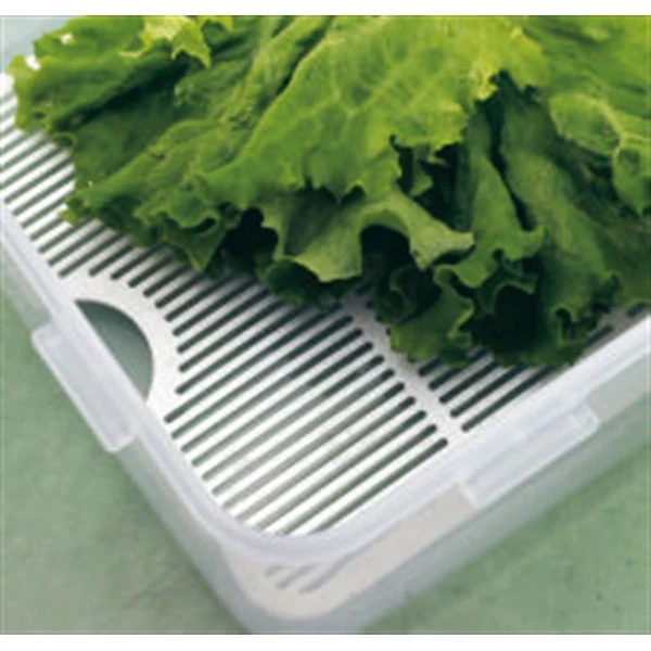 Boîte basse à salade et grille fraîcheur 3,9 L Lock and Lock