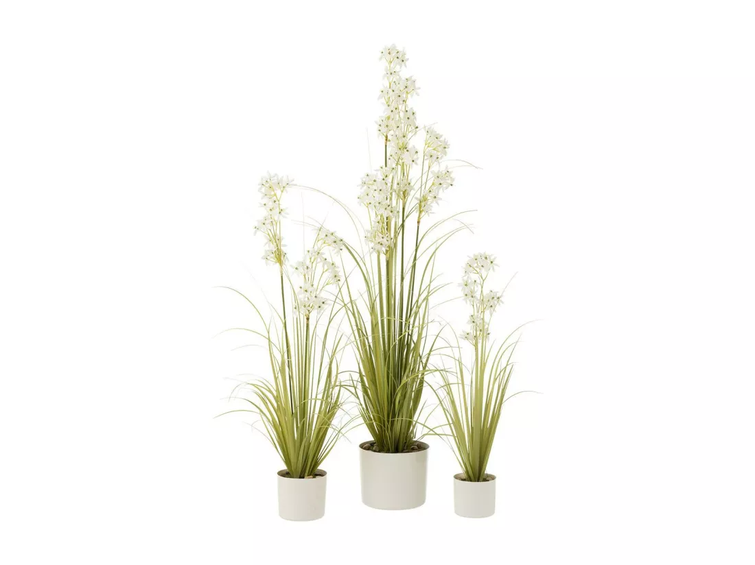 Allium en pot plastique vert/blanc 30x30x88cm