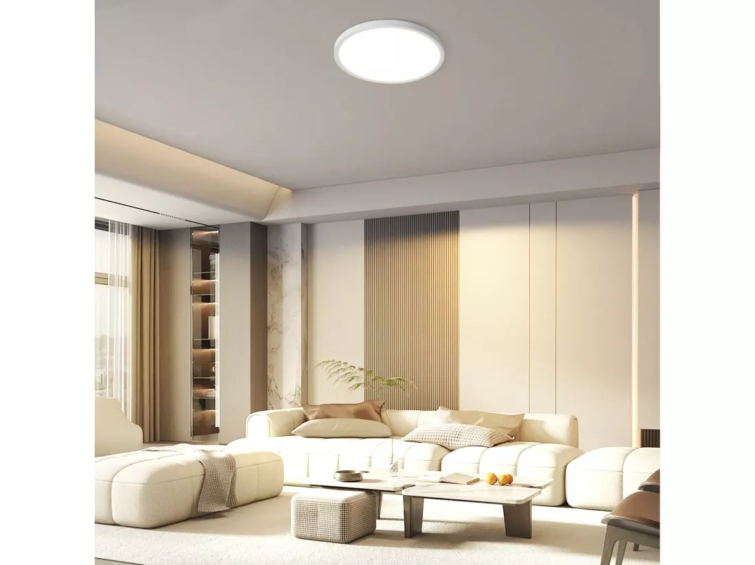 NETTLIFE Plafonnier LED Salle de bain Plat 30CM 24W Rond Blanc Plafonnier Cuisine Non-variable