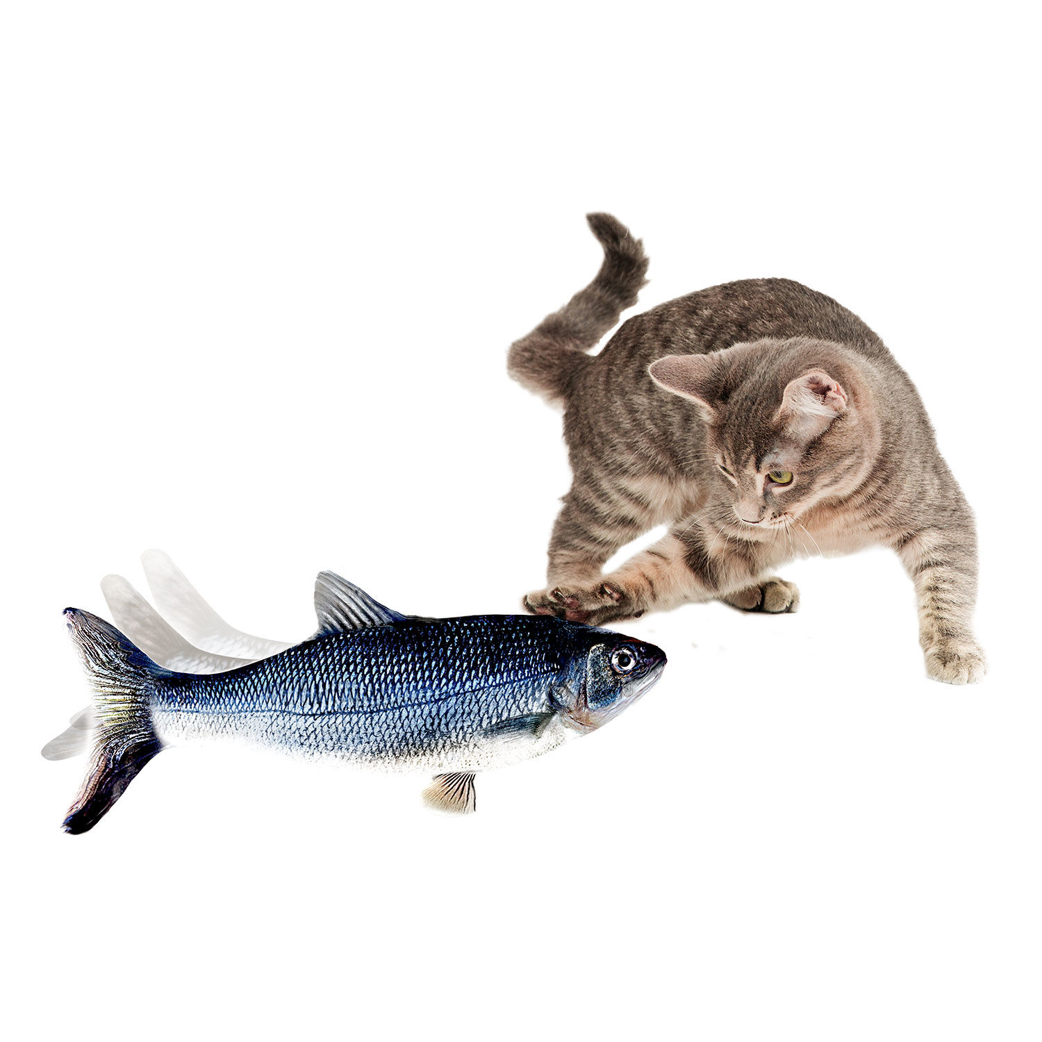 Flippity Fish – Interaktives Katzenspielzeug