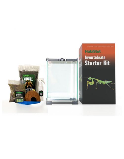 Habistat Ongewervelden Starter Kit - Terraria - 1 set