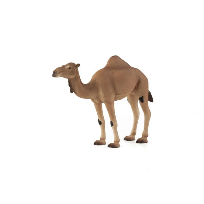 Besttoy Wildlife - Dromedar - Spielfigur 387113