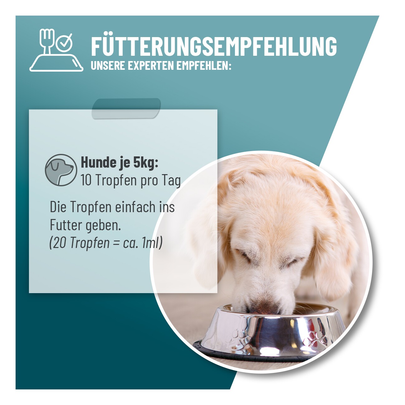 REAVET Relax Liquid Tropfen 100ml