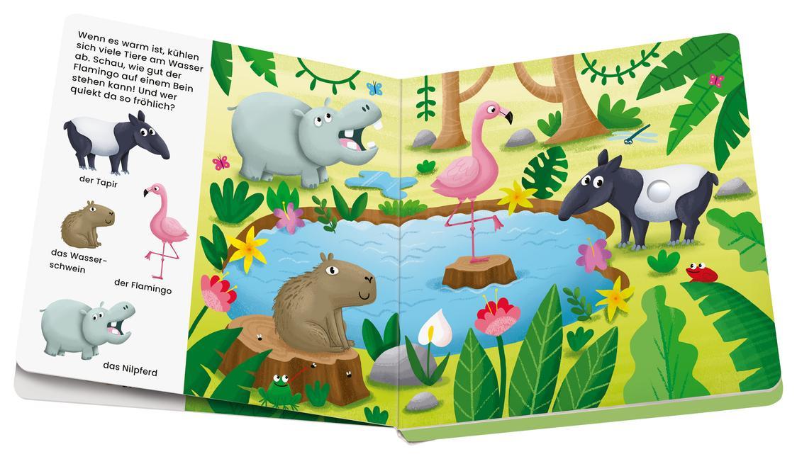 Ravensburger, play+ Mein allererstes Soundbuch: Im Dschungel (Sachen suchen und hören)