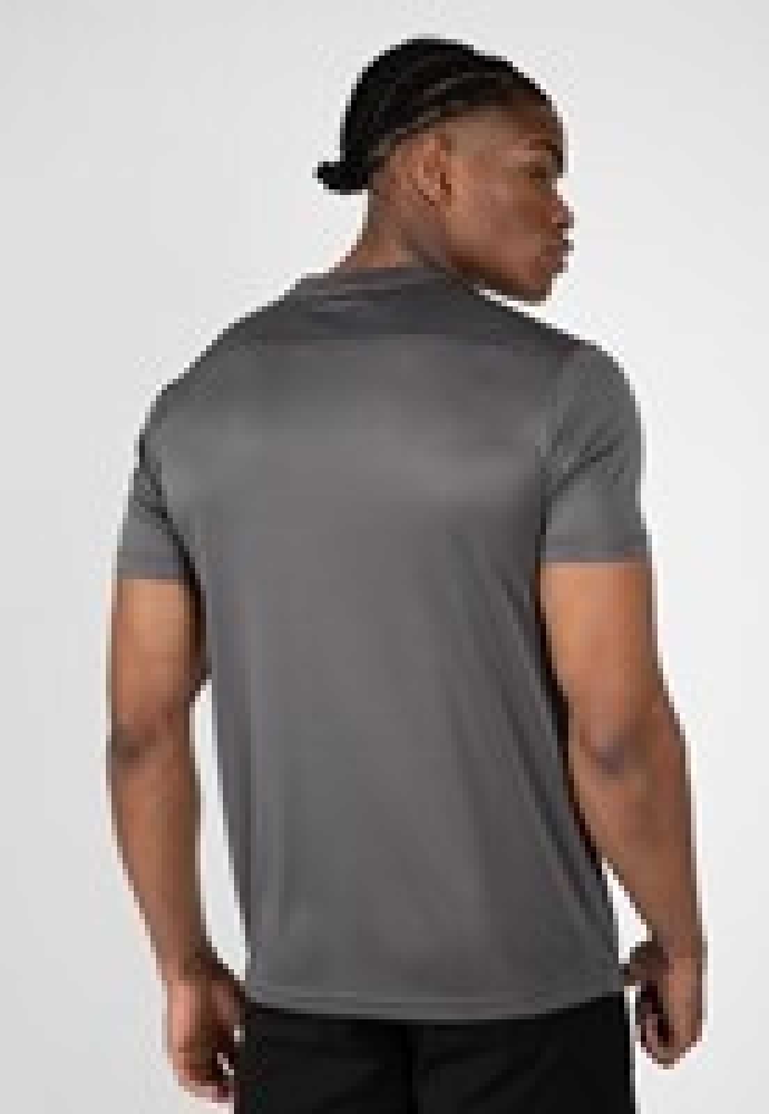 Camiseta Gorilla Wear Fargo Cinza