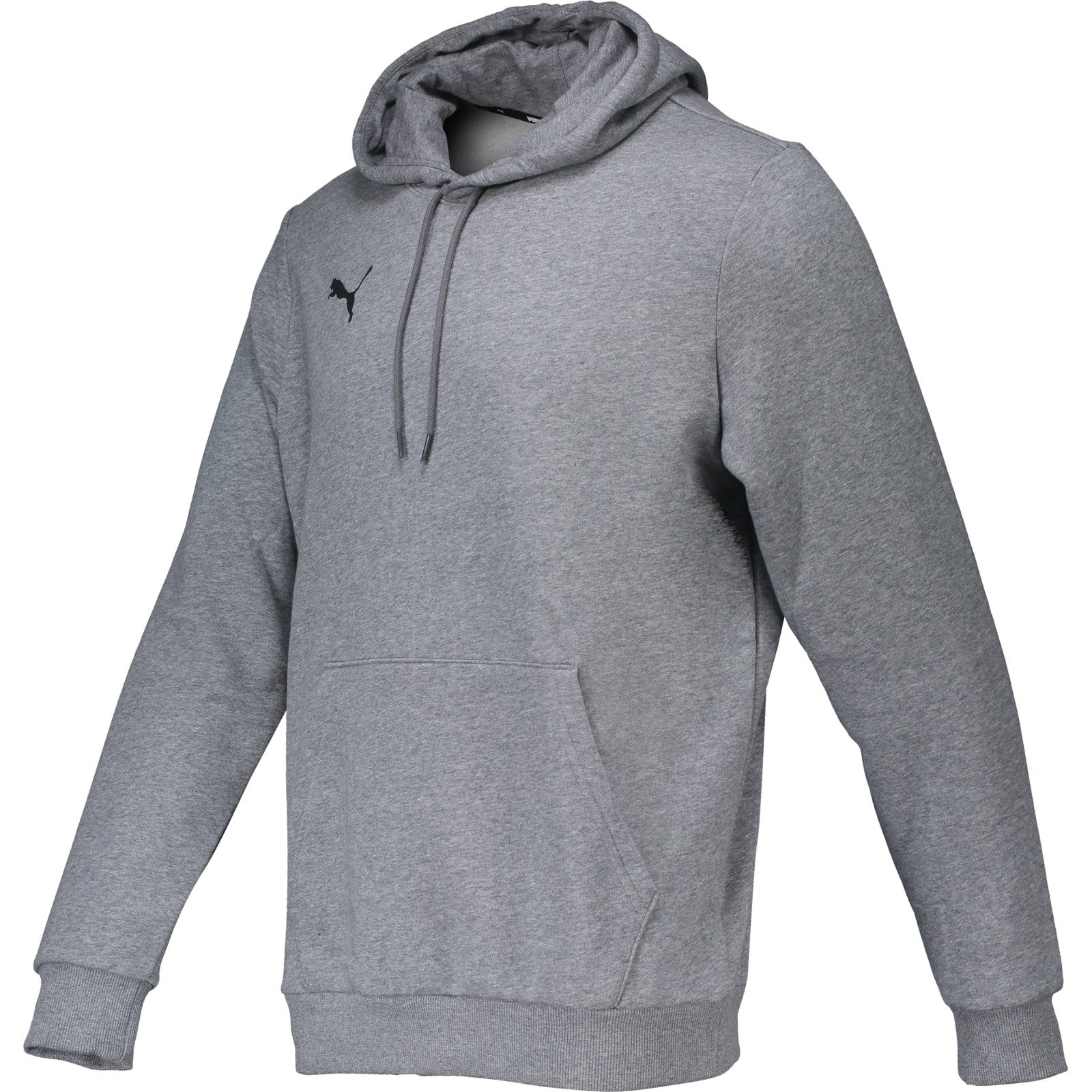 Puma Herren-Hoody team Goal L, graphit