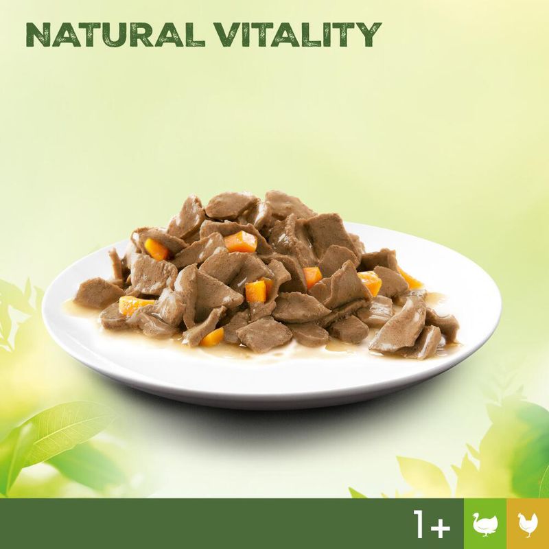 Perfect Fit Natural Vitality Adult