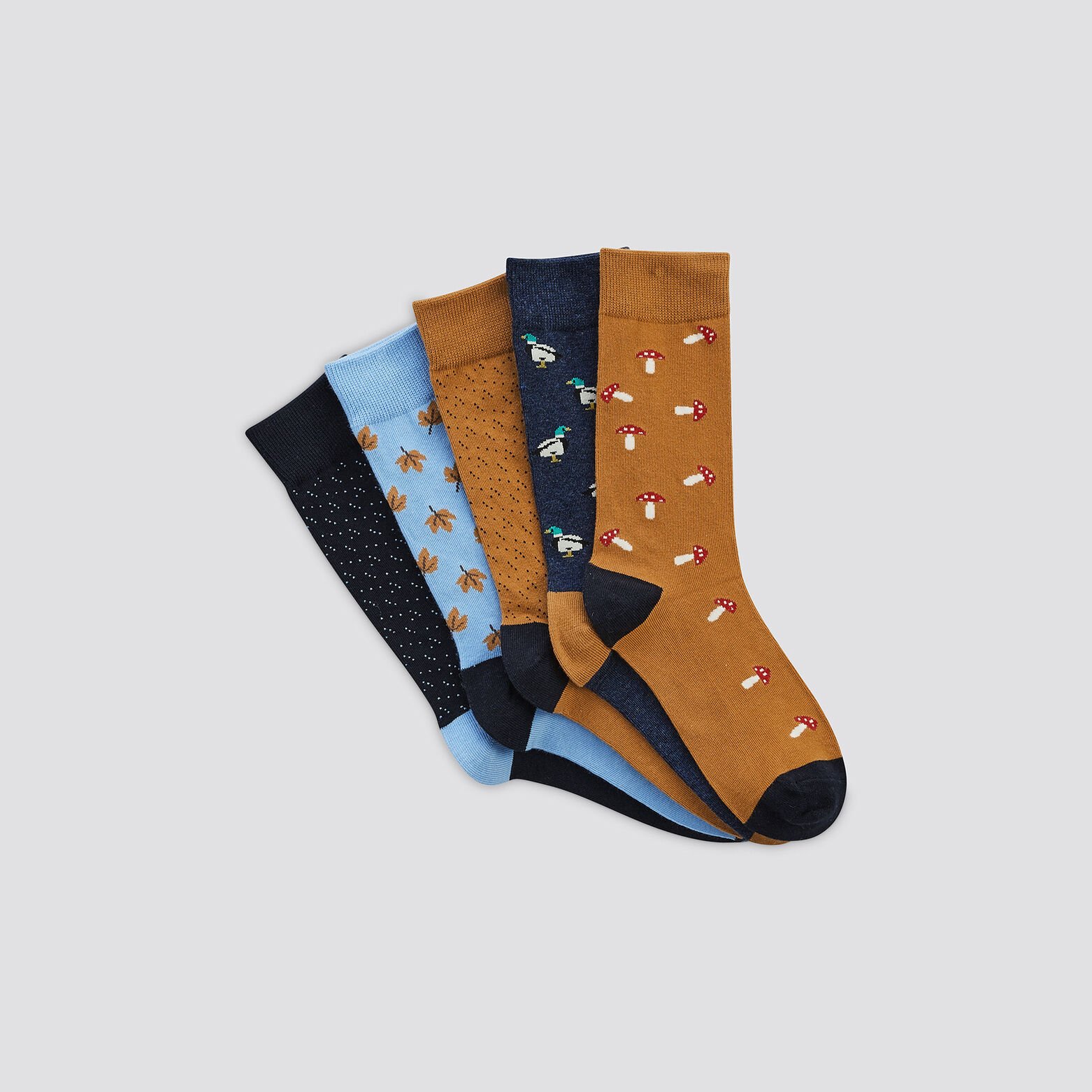 Lot de 5 paires de chaussettes fantaisie coton iss Bleu foncé