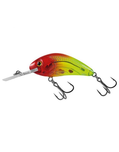 Salmo Rattlin'Hornet Flo - Swingers & hangers - 4.5 cm Clear Bright Red Head