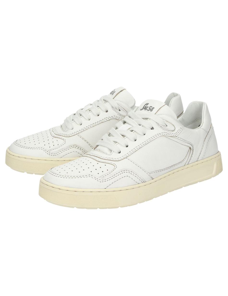 Sneaker Tedroso-DA-700