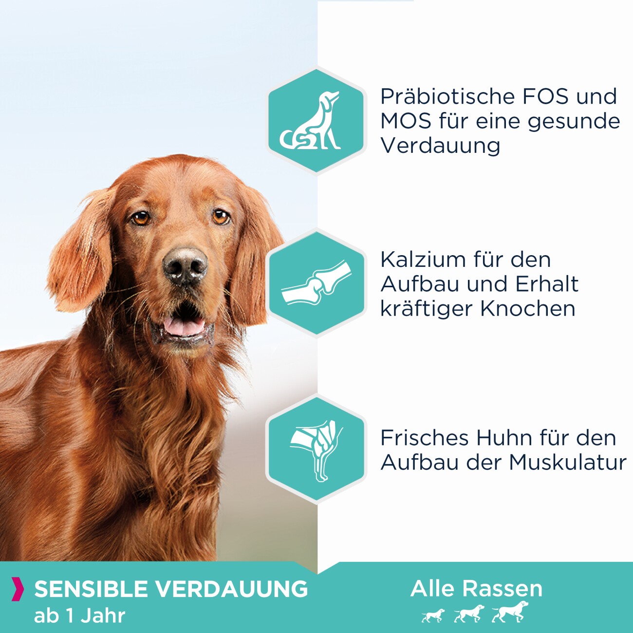 EUKANUBA Trockenfutter Hund Daily Care Sensible Verdauung Adult 12 kg