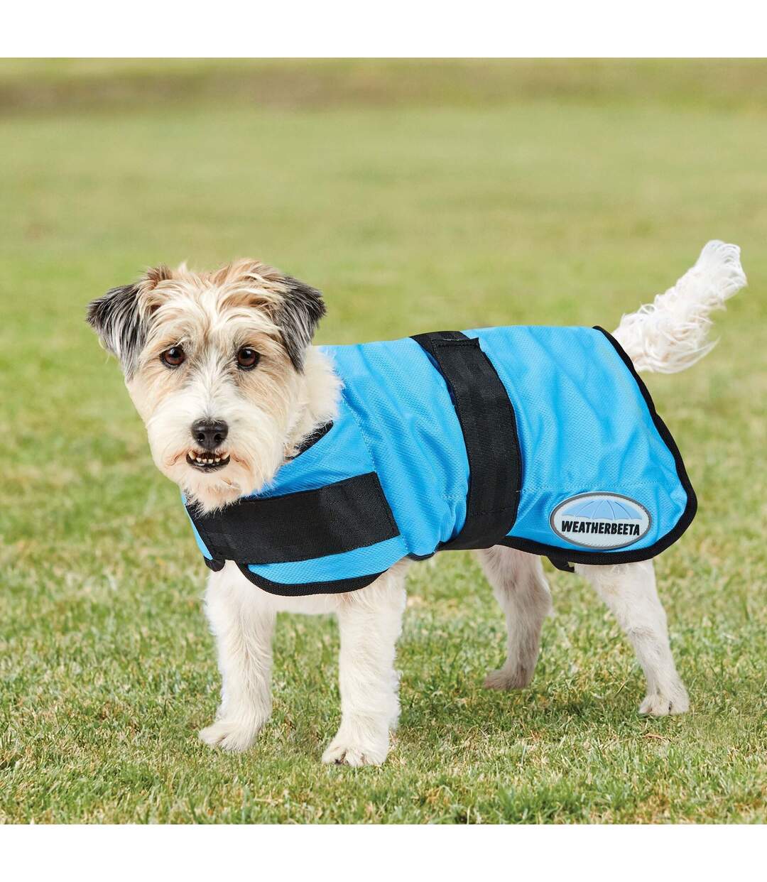 Weatherbeeta - Manteau rafraîchissant pour chiens THERAPY-TEC (Bleu) (60 cm) - UTWB1509