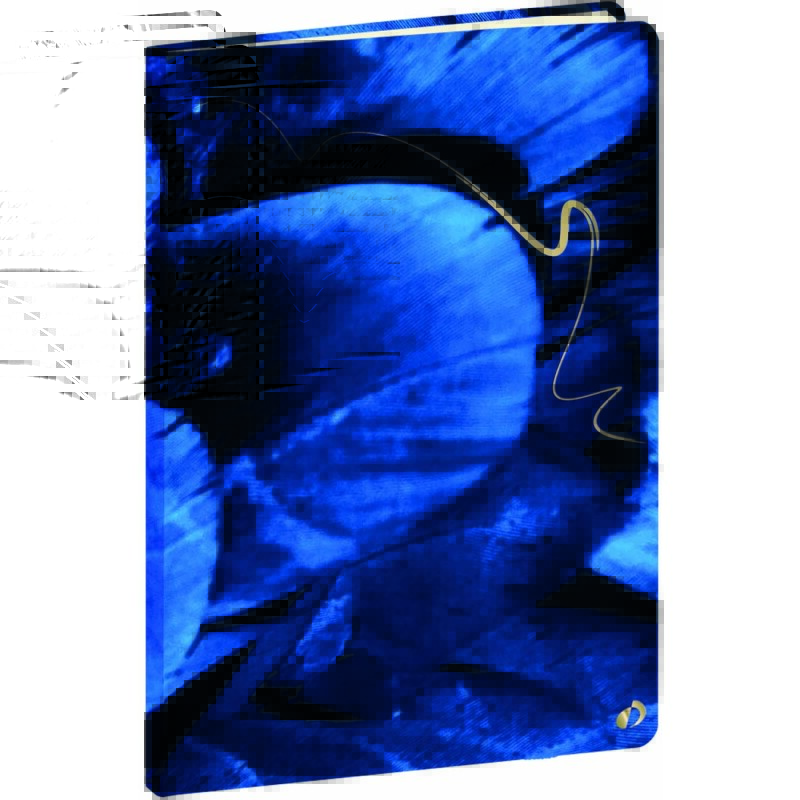 Quo Vadis - Carnet de notes - Hipsy - Multicolore - Pages Points (dots) et lignées - 15x21 cm