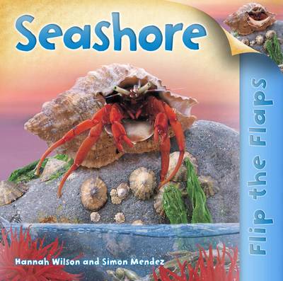 Flip the Flaps: Seashore - Flip the Flaps 3 (Hardback)