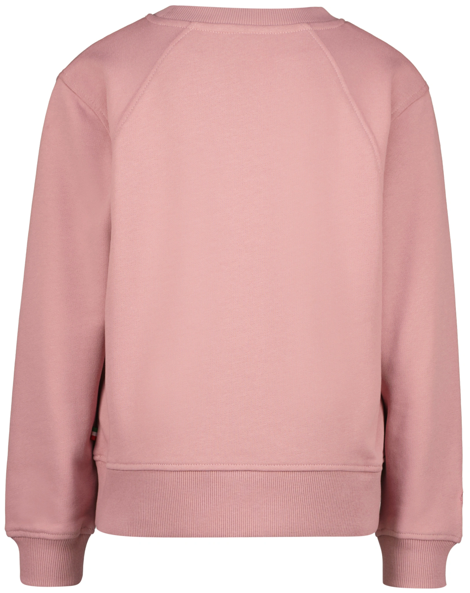 Sweatshirt G-BASIC in dusty rose