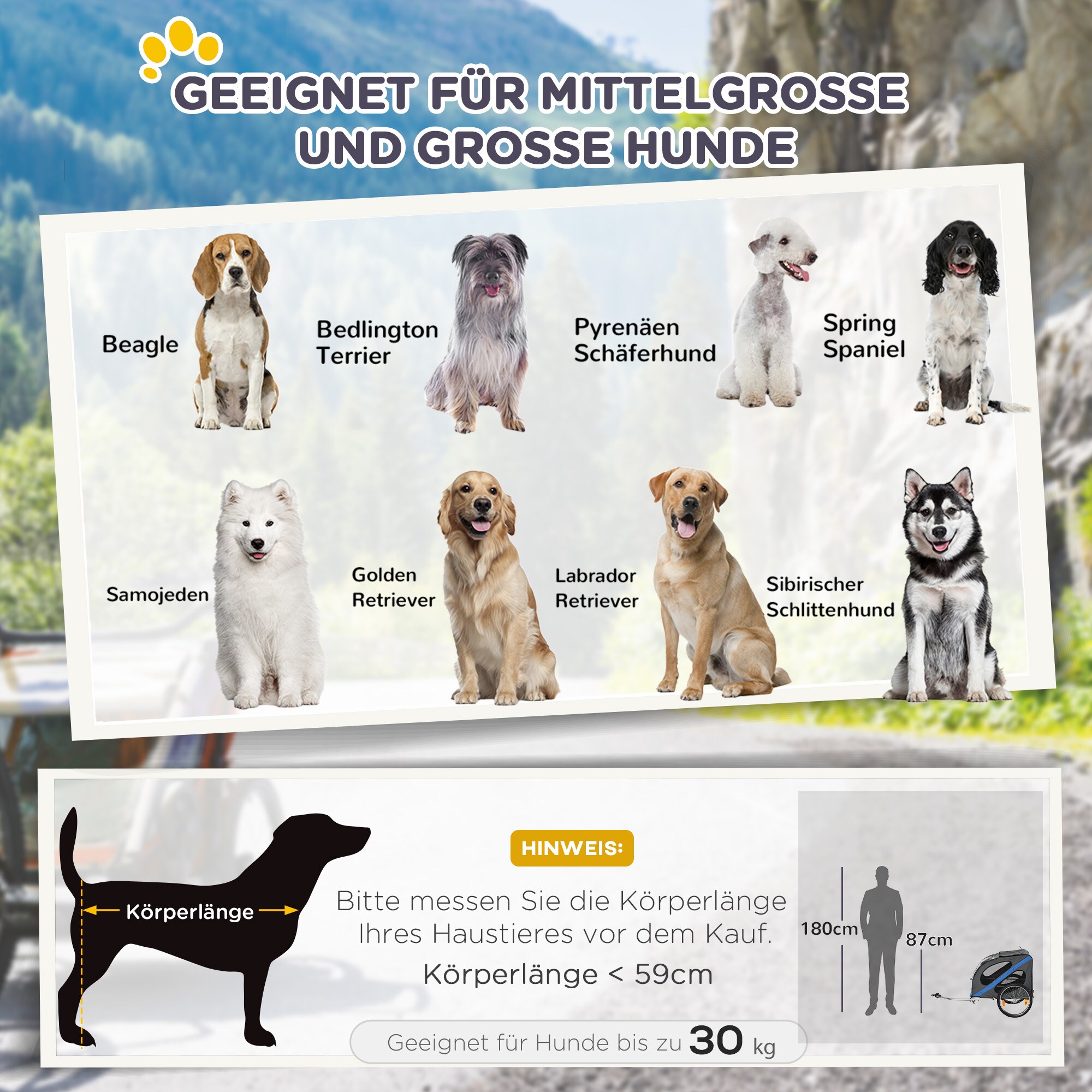 PawHut Fahrradanhänger für Hunde 145 x 80 x80 cm