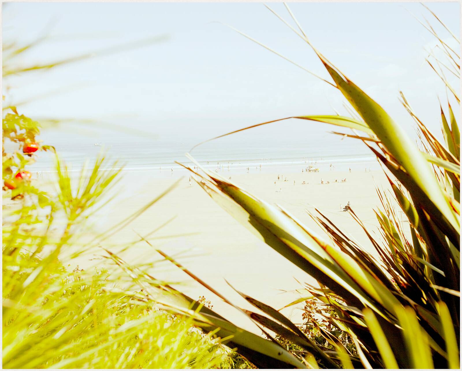 Horizon by Mark Leary - Limited Edition. Edition of: 150. Signed.