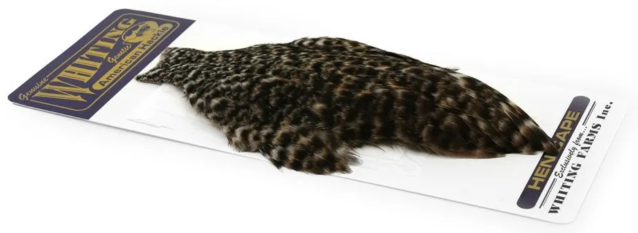 Whiting Whiting American Hen Cape