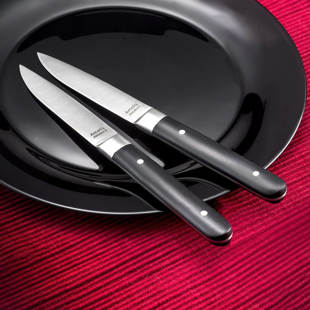 Fusion - Coffret 4 couteaux steak Amefa