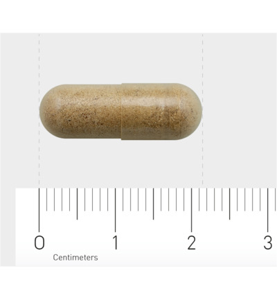 Aov 813 Ginkgo Biloba Extract (60 vega capsules)