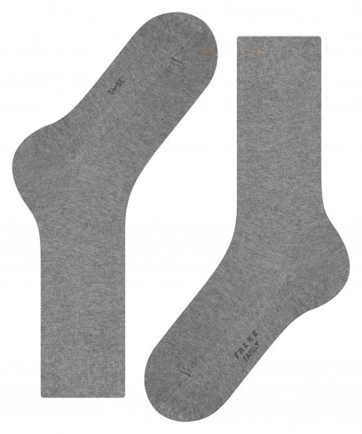 Falke Family SO Socken in Grau