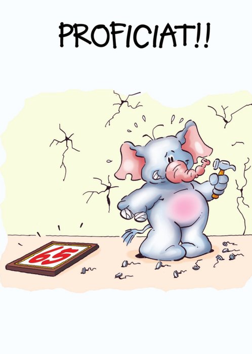Doodles | Verjaardagskaart | olifant | 65 jaar