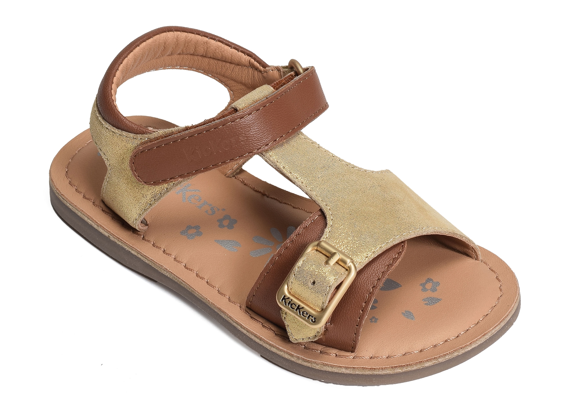 Diazz camel or