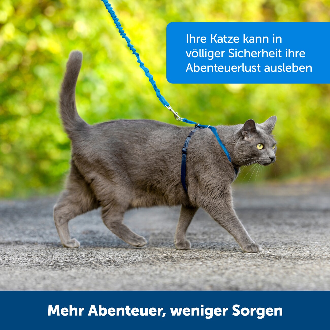 PetSafe Easy Walk Katzengeschirr rot S