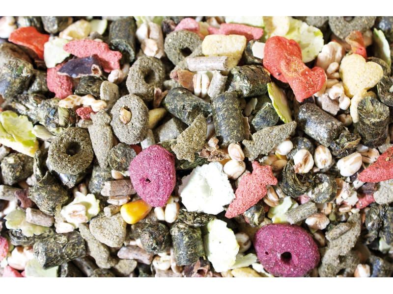 JR Farm Hauptfutter Basic Zwergkaninchen-Schmaus, 2.5 kg Alleinfuttermittel für Zwergkaninchen