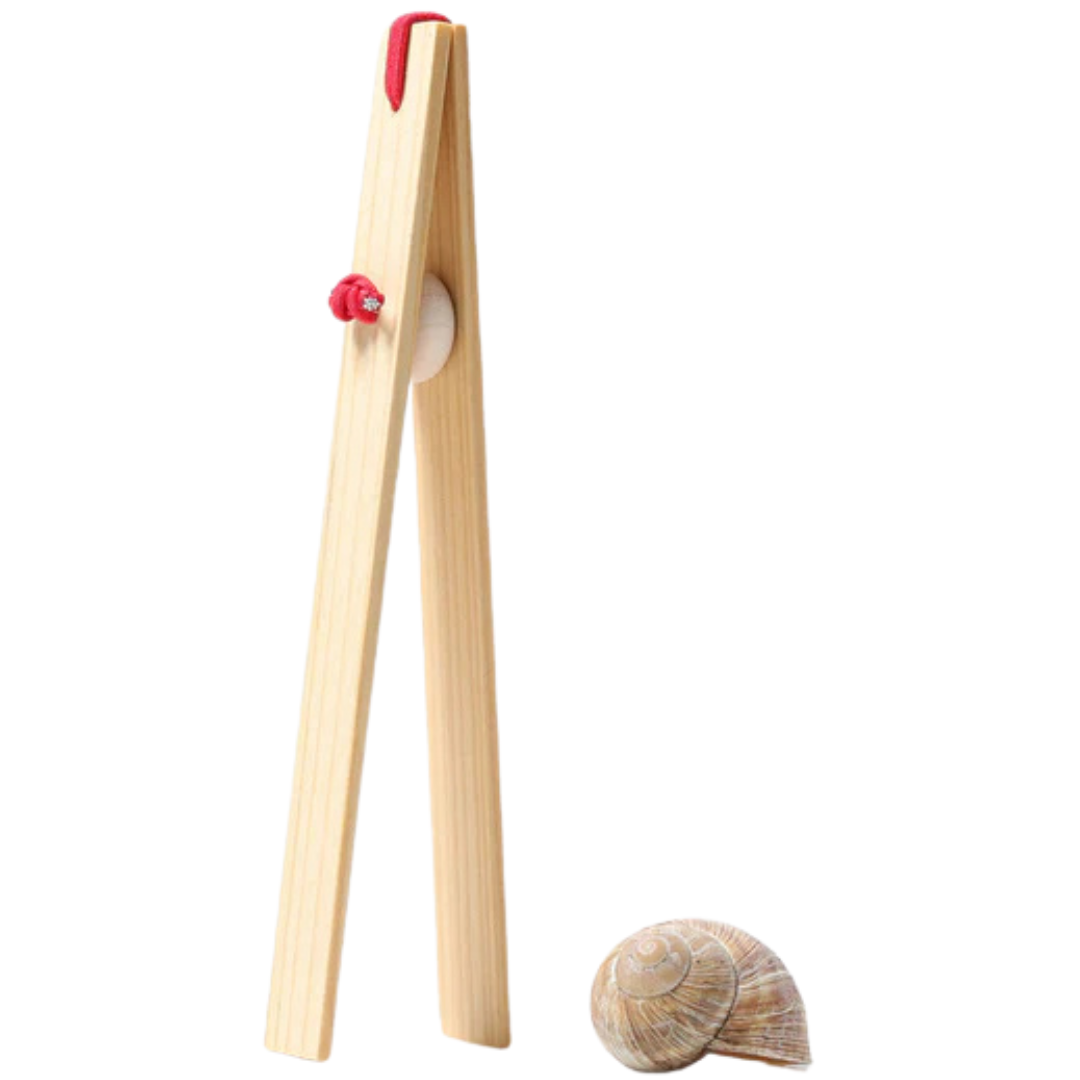 Grimm's houten pincet 42128