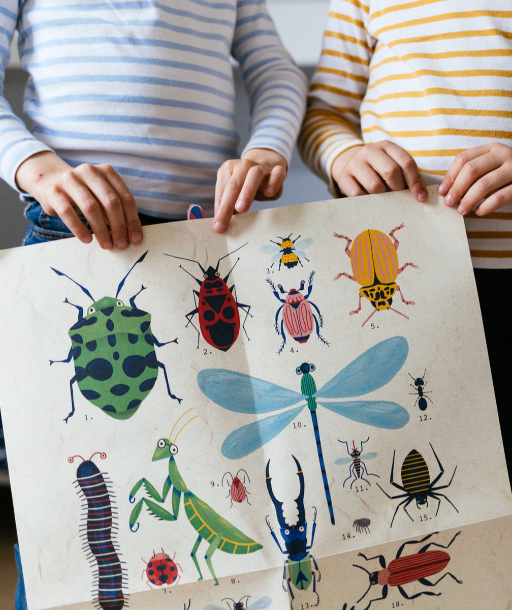 EN CAVALELIVRE ENQUÊTE INTERACTIF NATURE ET INSECTE